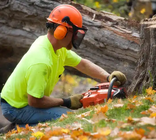 tree services Rudolph